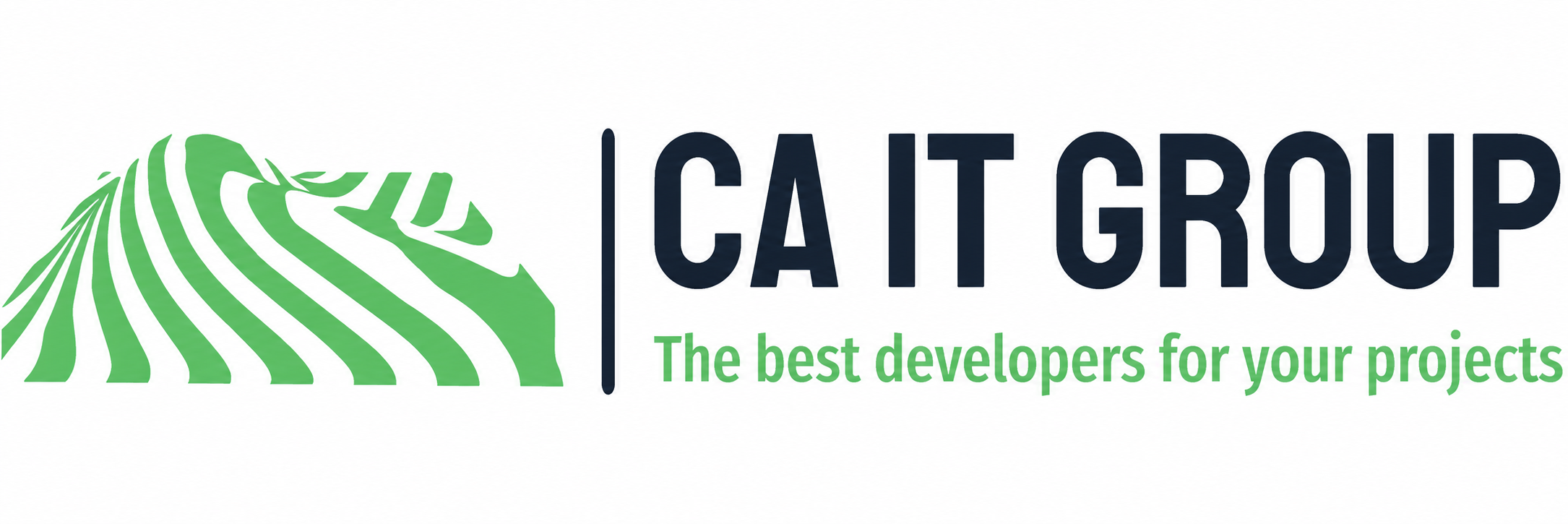 www.caitgroup.kz компаниясына жеңіл сайт жасадық